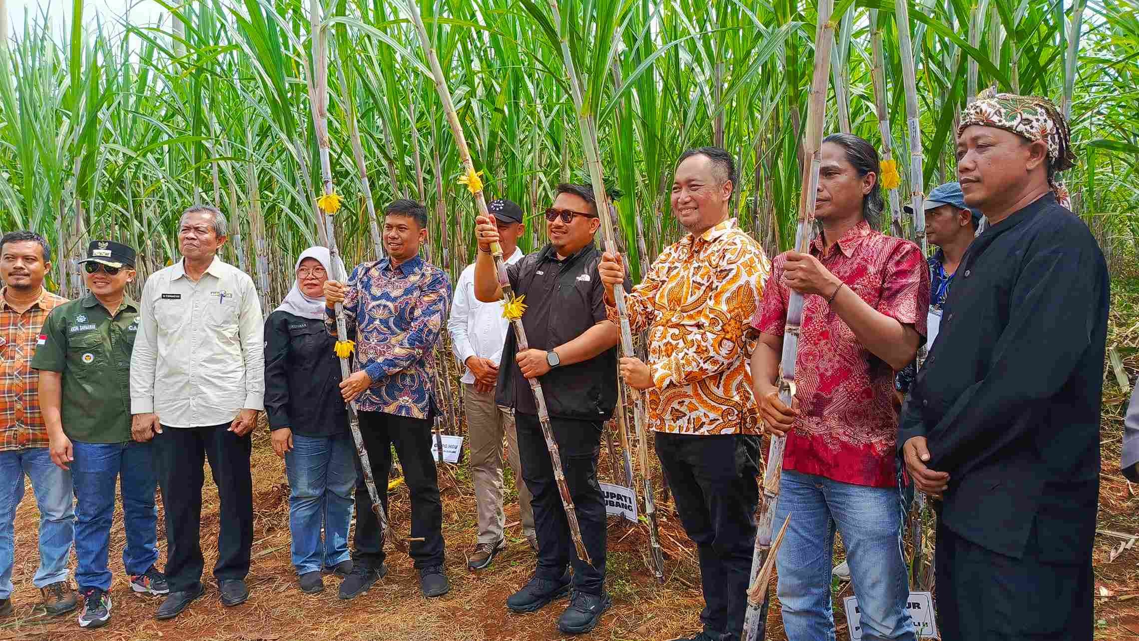 Hajat Panen Tebu, Subang Targetkan PG Rajawali Aktif 2027